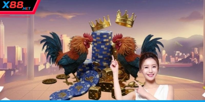 Những sân chơi đá gà hot nhất của nền tảng