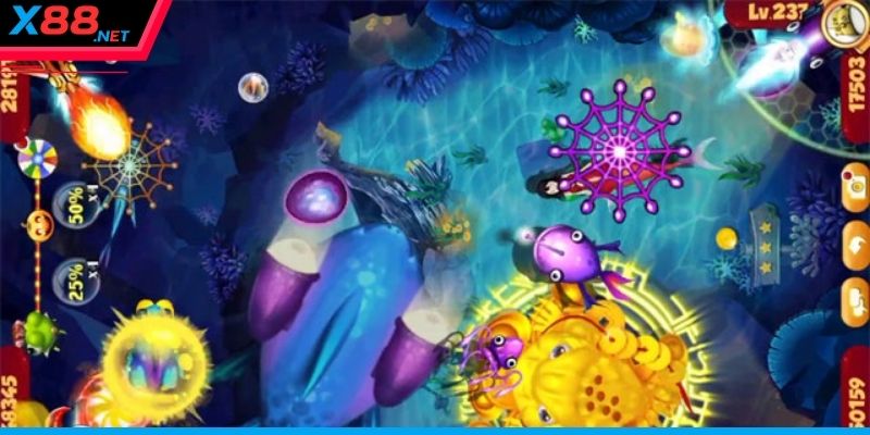 Sự quan trọng của quy tắc bắn cá